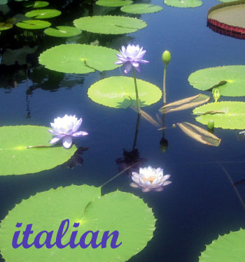italian