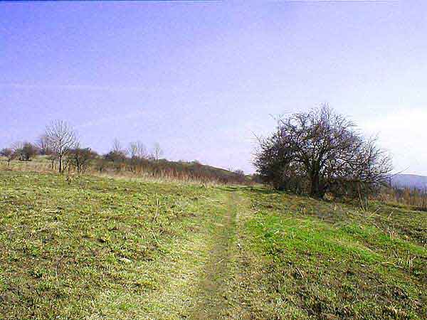 Sciezka pod szczytem