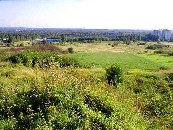 Widok na Osiedle Kasprzaka