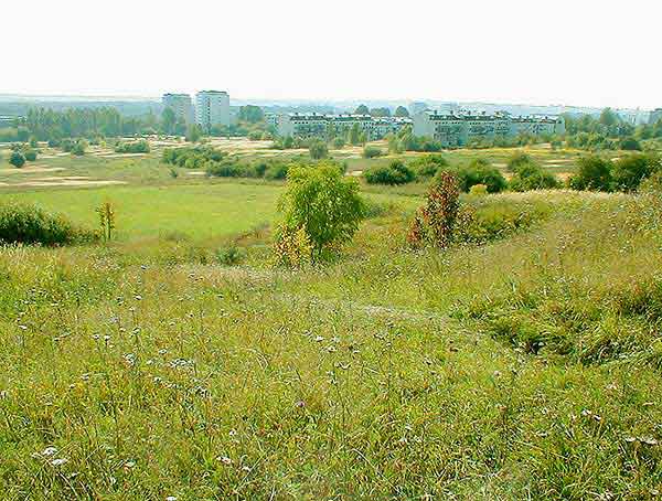 Widok z g�ry na poludnie 