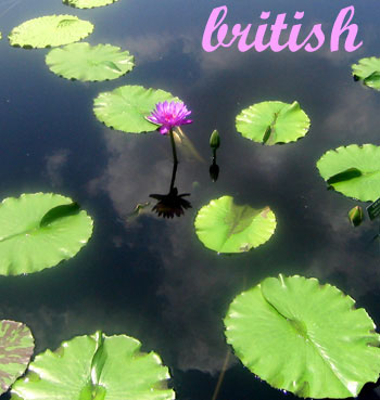 british