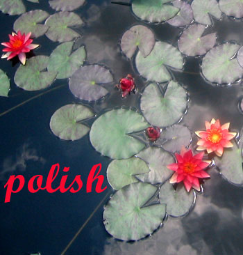 polish